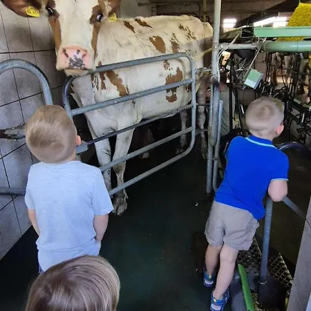 Schiefen - Urlaub Auf Dem Bauernhof Apartament *