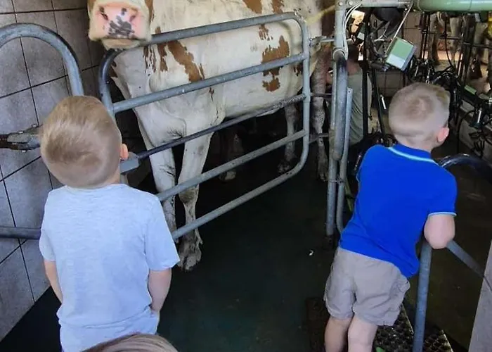 Schiefen - Urlaub Auf Dem Bauernhof Lejlighed *